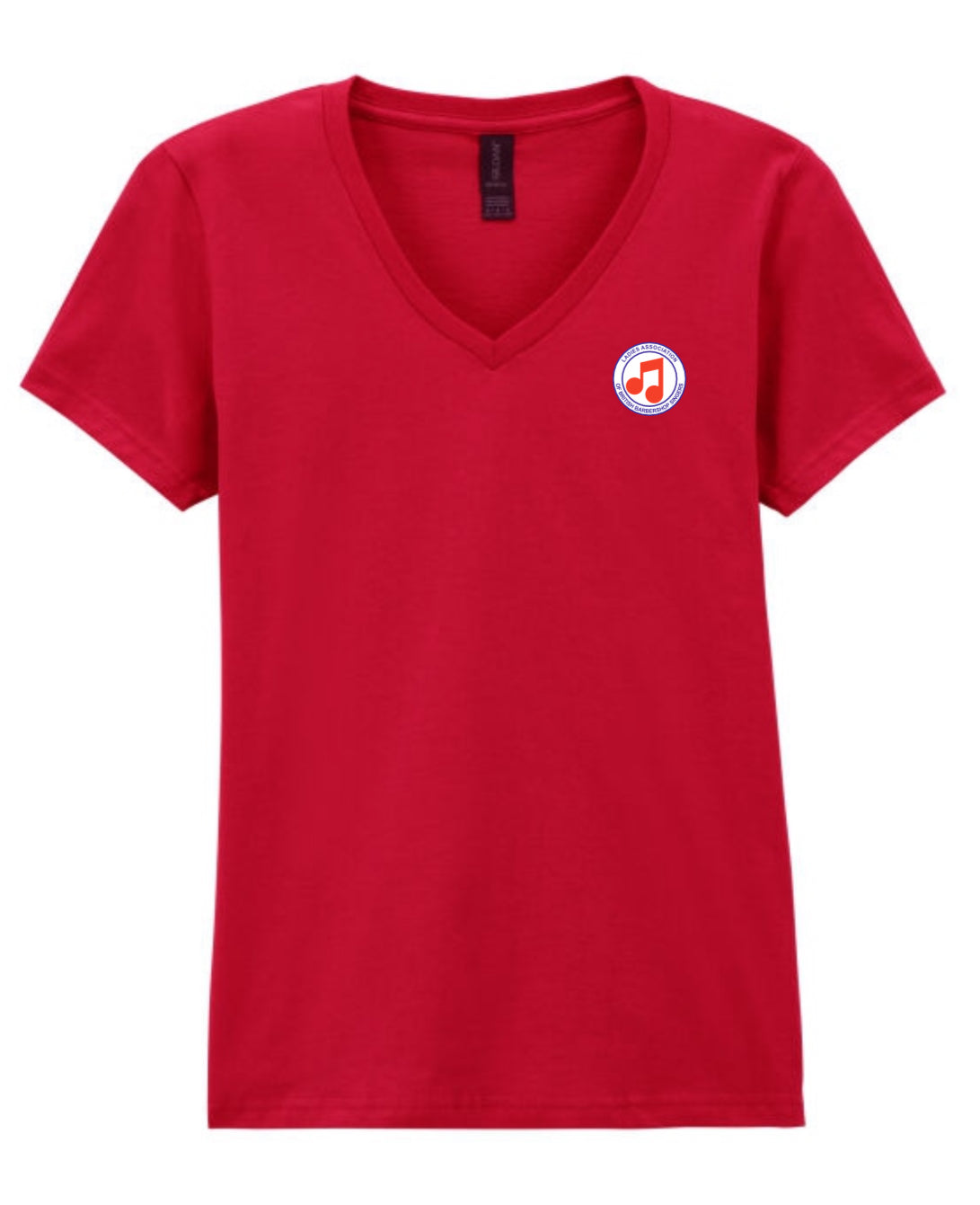 LABBS v-neck t-shirt (64v00)